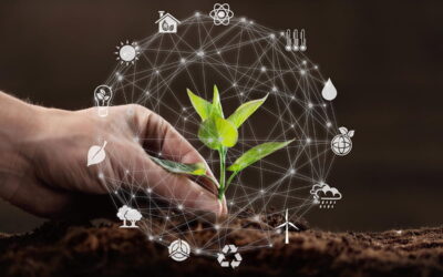 produtos de bionutrição nas culturas, muda de planta sendo segurada por uma mão branca. Muda rodeada de símbolos que remetem a agricultura e sustentabilidade