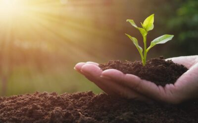 mão com solo fértil e uma pequena planta, fazendo referência à saúde do solo