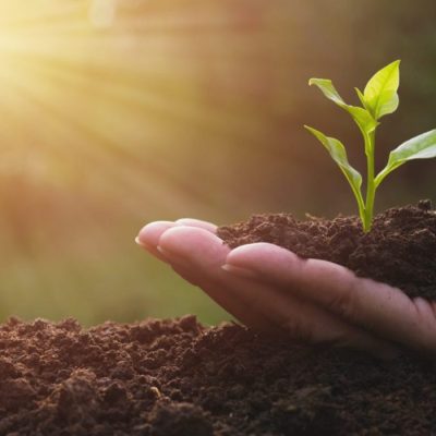 mão com solo fértil e uma pequena planta, fazendo referência à saúde do solo