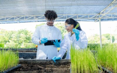bionutrientes para plantas