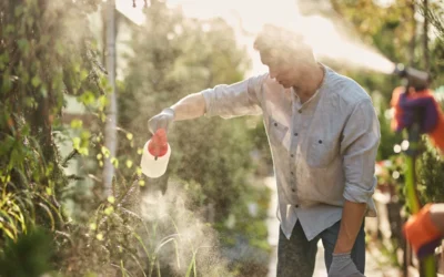 Homem aplicando fertilizantes na plantação.
