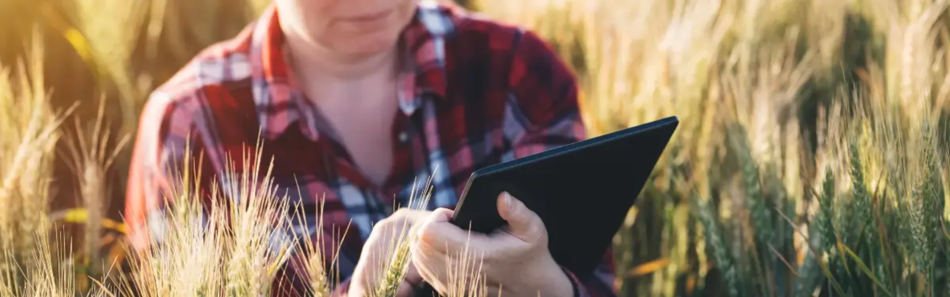 Agricultura inteligente, mulher utilizando tecnologias modernas na agricultura