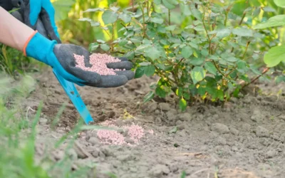 Fertilizante granulado químico mineral nas mãos