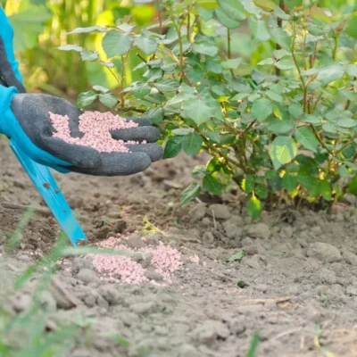 Fertilizante granulado químico mineral nas mãos