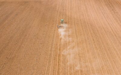 Vazio sanitário: campo sendo arado por um trator, solo de coloração marrom claro.