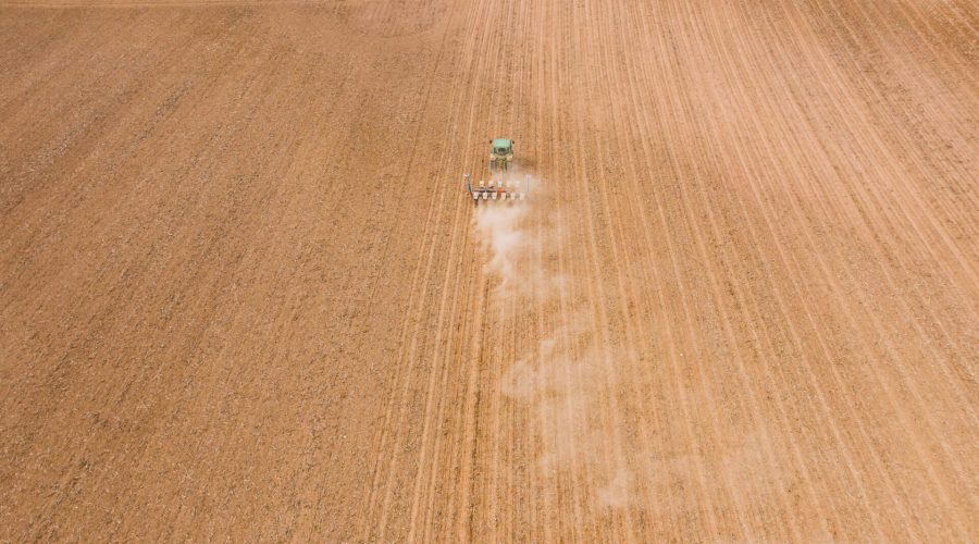 Vazio sanitário: campo sendo arado por um trator, solo de coloração marrom claro.