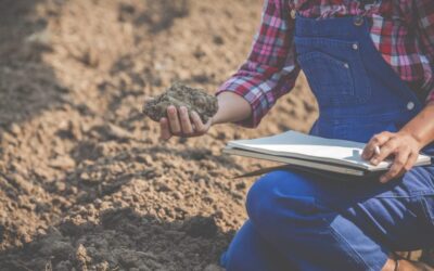 Agricultora segurando solo arenoso