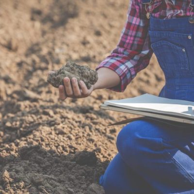 Agricultora segurando solo arenoso