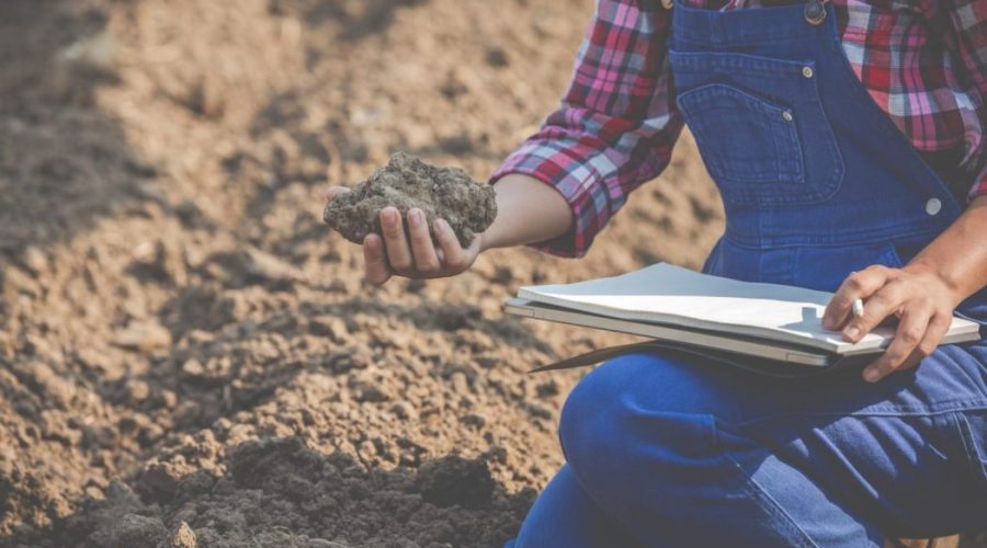 Agricultora segurando solo arenoso